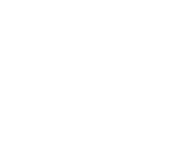 VV CENTER SERVICE S.A. DE C.V.